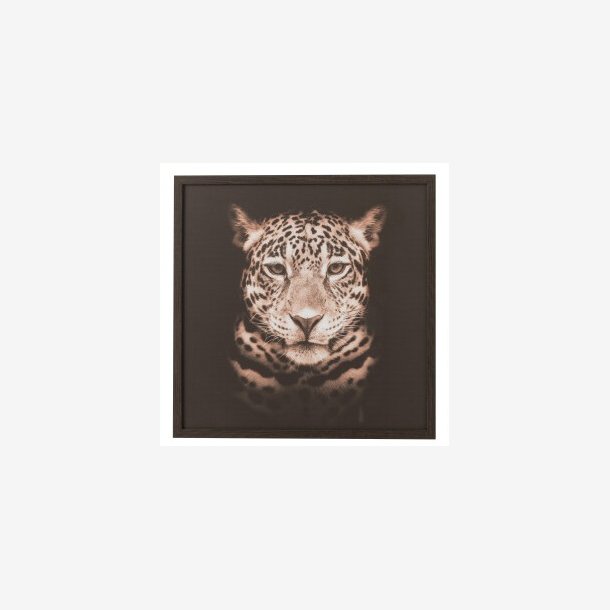 J-Line - Panther billede Brun/Sort 52,5x52,5 cm. 