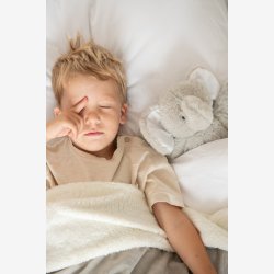 J-Line - Elefant m/plaid Gr 