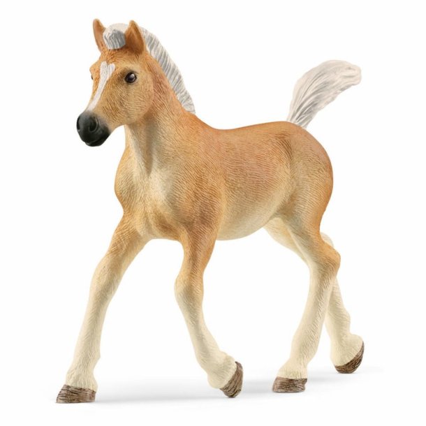 Schleich - Haflinger fl