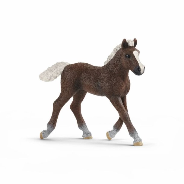 Schleich - Black Forest Stallion fl