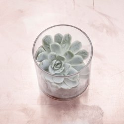 RSKOV - glas 300ml. D:6,5 H:12cm. 6 stk. i ske