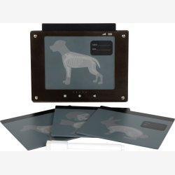 Small Foot - Dyrelgetaske m. kanin bamse