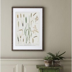 Koustrup &amp; Co - Plakat "Danske Kornsorter" A2 