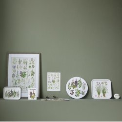 Koustrup&Co. - Krydderurter