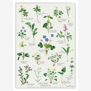 Koustrup & Co - Plakat 