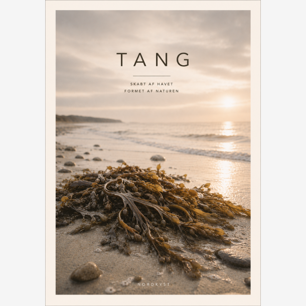 NORDKYST - A3 Plakat "TANG"