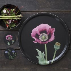 BAKKE 38 - PINK VALMUE